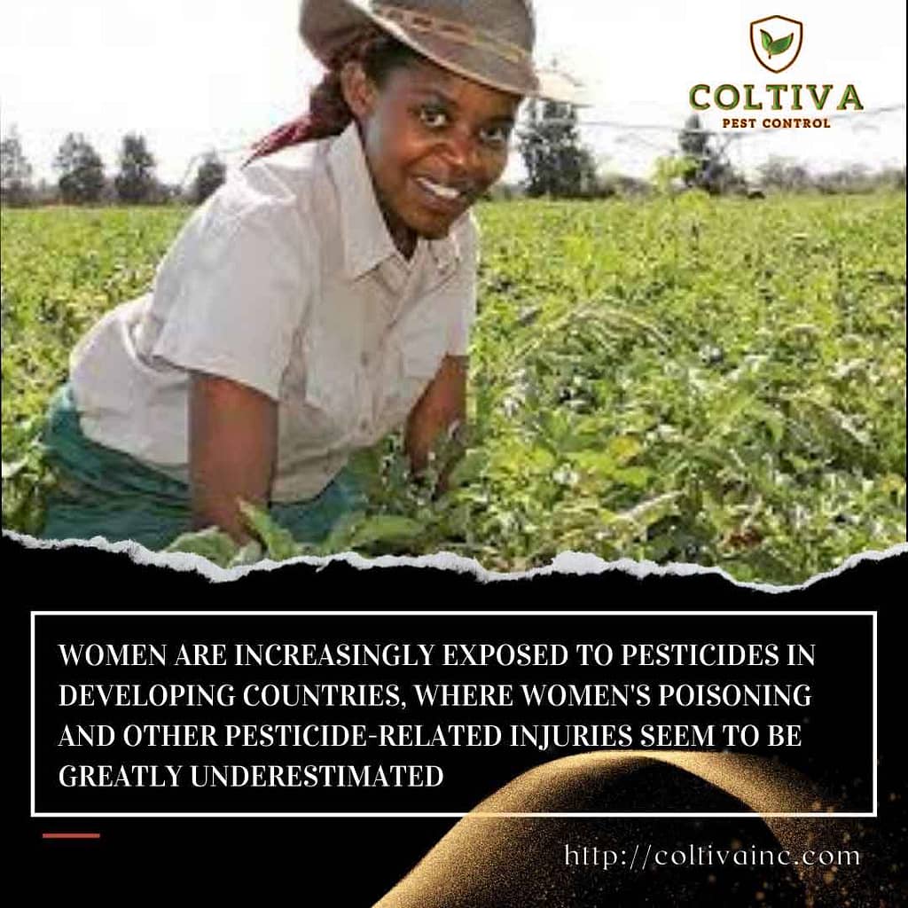 risks of pesticides on women farmers