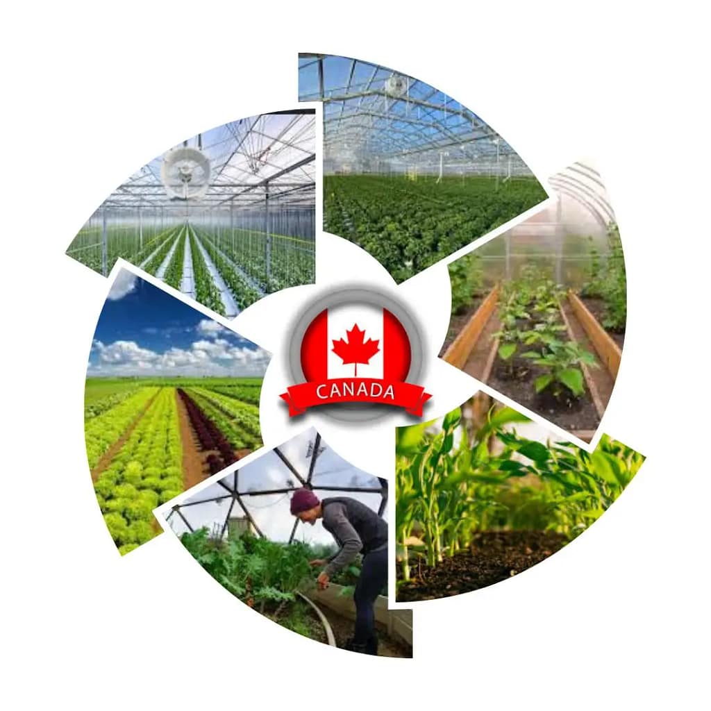 Grey and Green Kerala Travel Instagram Post