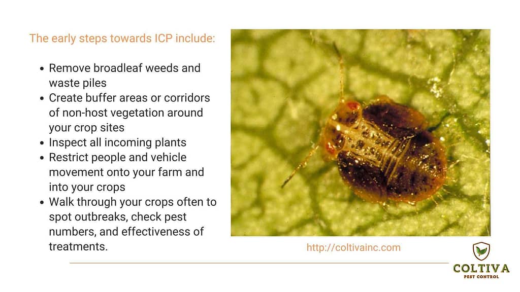 pest control
