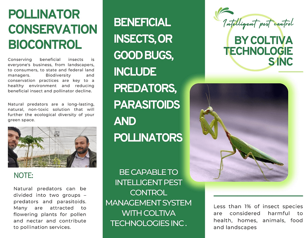 Let Beneficial Insects Work for You
