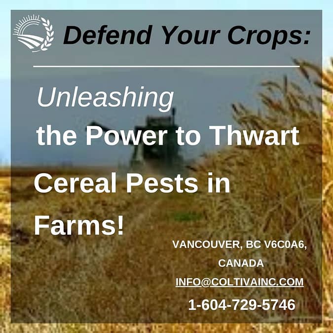Unleashing the Power to Thwart Cereal Pests in Farms!