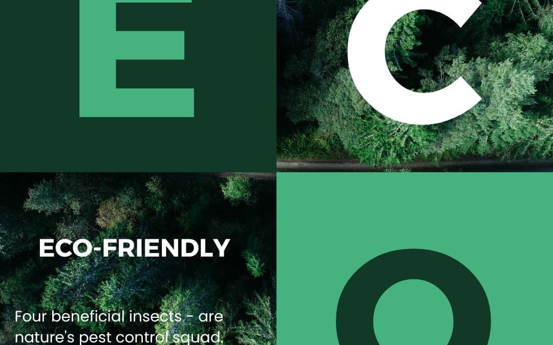 Four beneficial insects