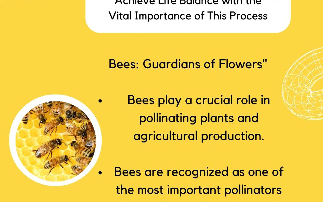 bee pollination