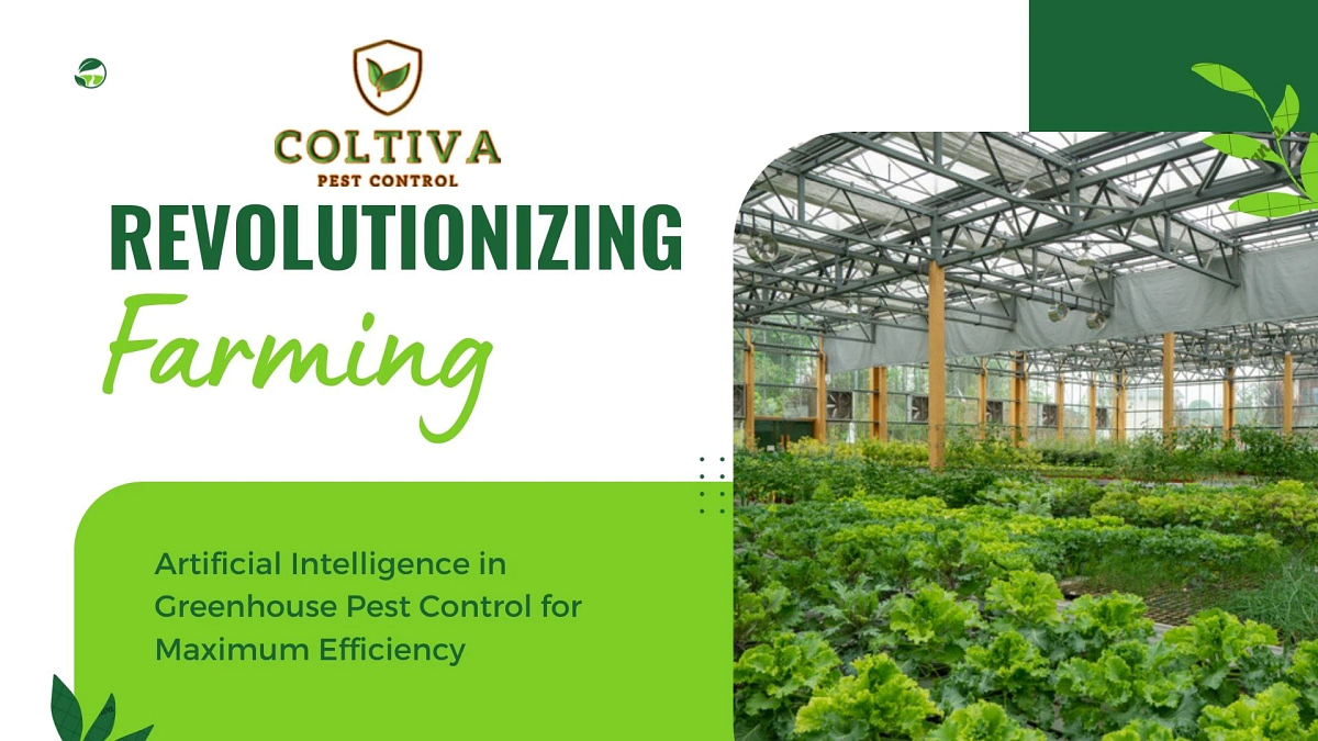 Artificial Intelligence in Greenhouse Pest Control