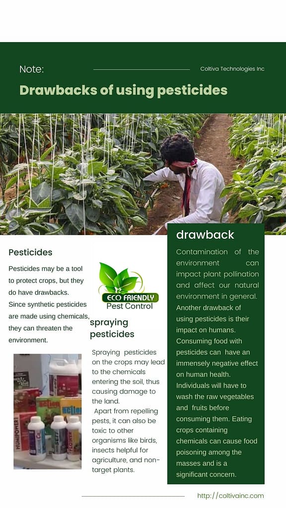 Using insects as weed control agent
