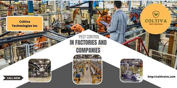 Pest control in factories and companies