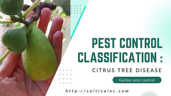 Pest control classification