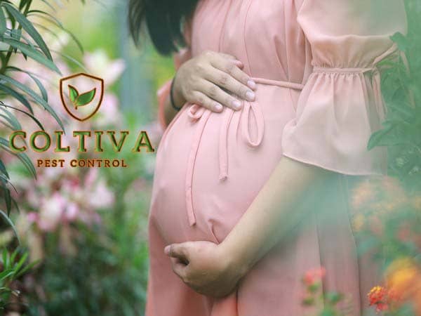 Chemical exposure in pregnant woman :