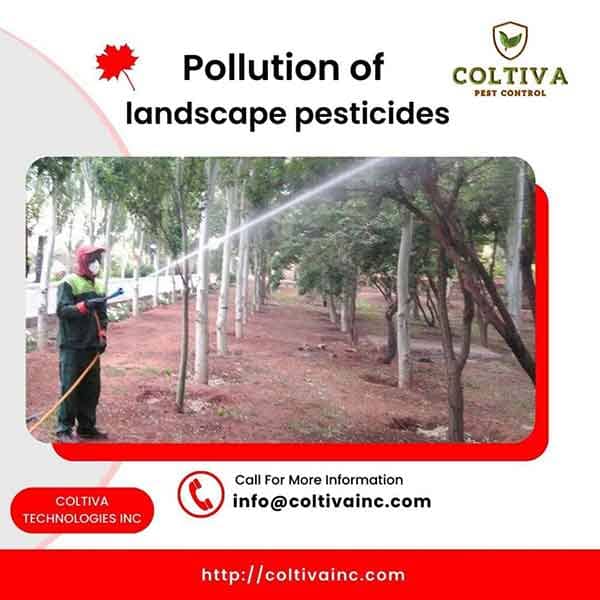 pollution-of-landscape