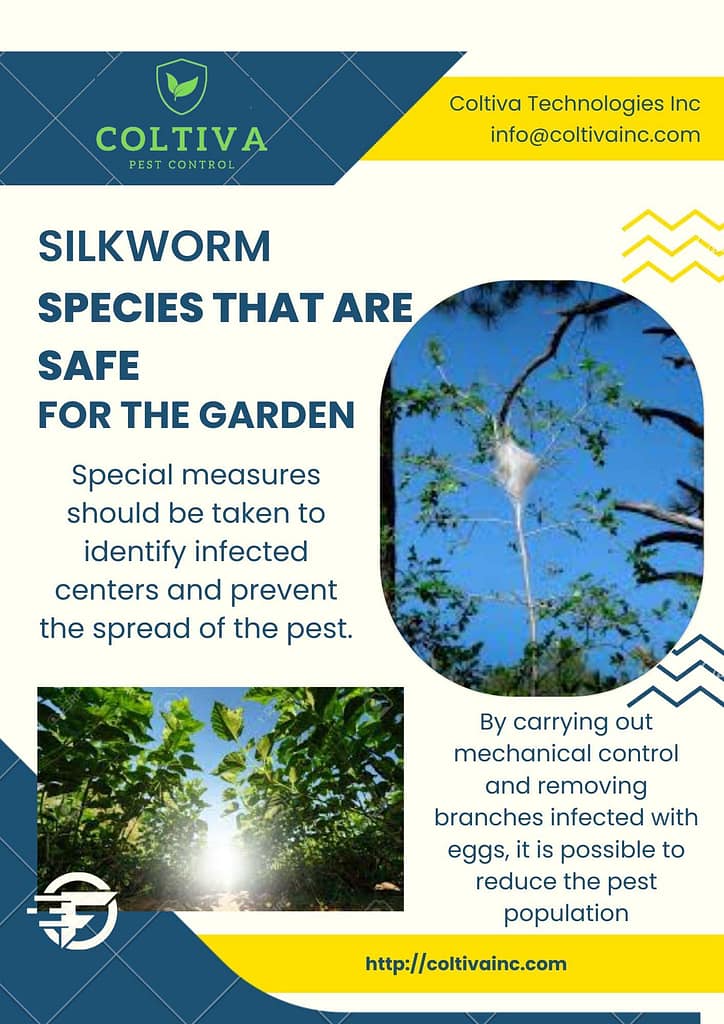 silk worm