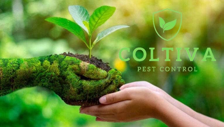 Organic farming