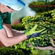 next generation of smart farms-min
