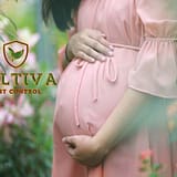 Chemical exposure in pregnant woman :