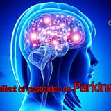 The effect of pesticides on Parkinson's disease