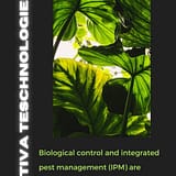 4 best Ways to Eliminate greenhouse Pests Without Chemicals