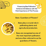 bee pollination