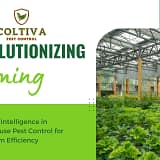 Artificial Intelligence in Greenhouse Pest Control