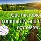 Gut microbiota community