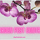 Garden pest control