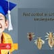 Pest Control for Schools and Kindergartens