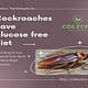 Cockroaches have glucose free diet