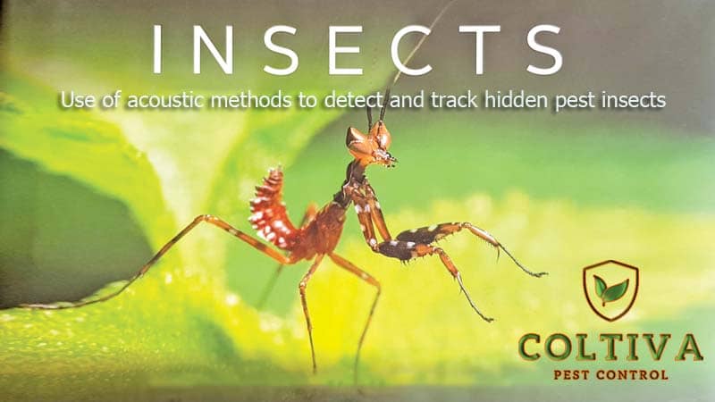 Use of acoustic methods to detect and track hidden pest insects