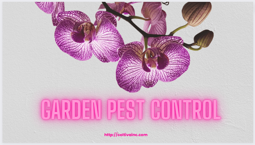 Garden pest control