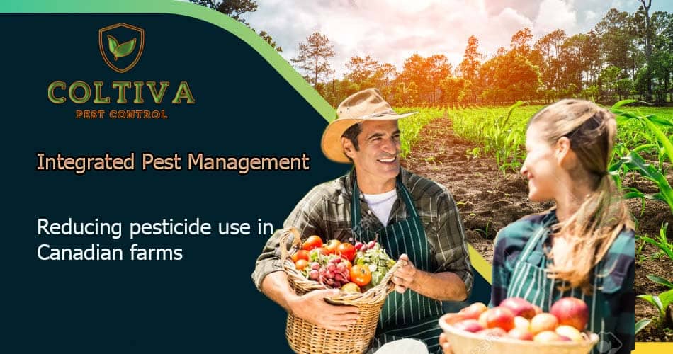 Integrated Pest Management: Reducing pesticide use in farms