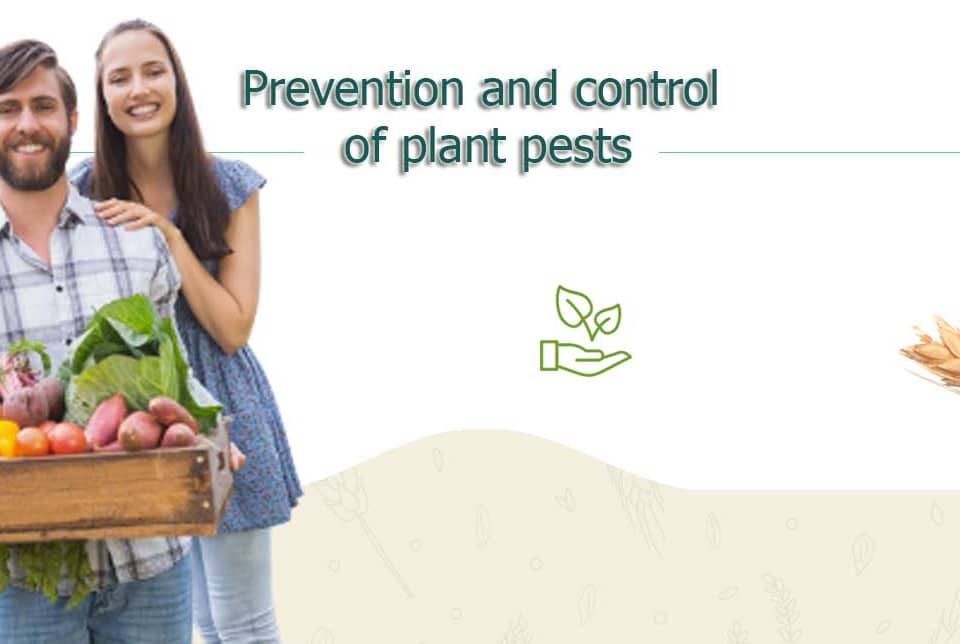 Prevention and control of plant pests