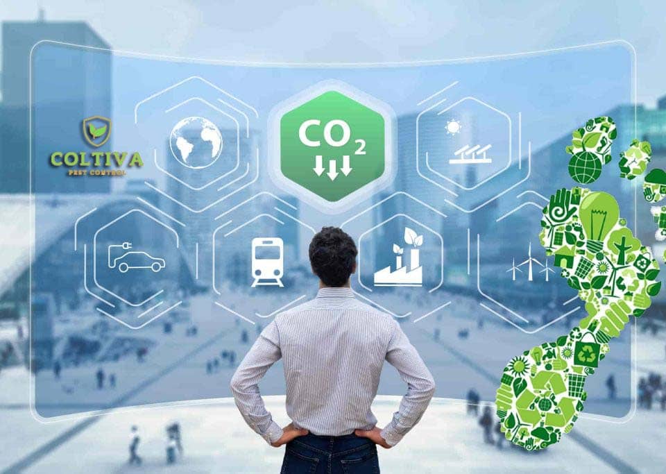 carbon foot print