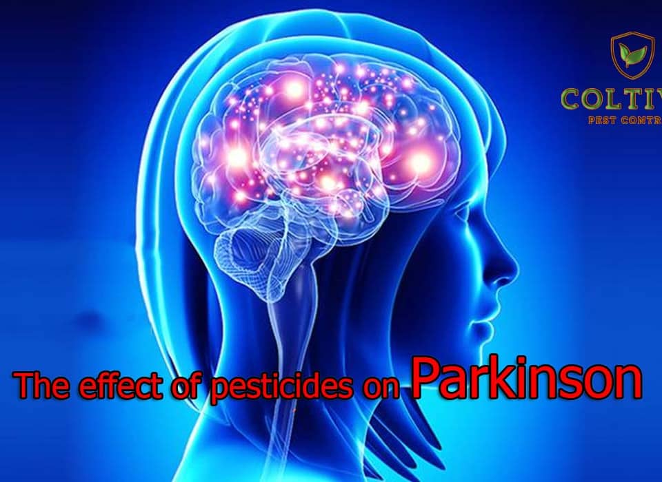 The effect of pesticides on Parkinson's disease