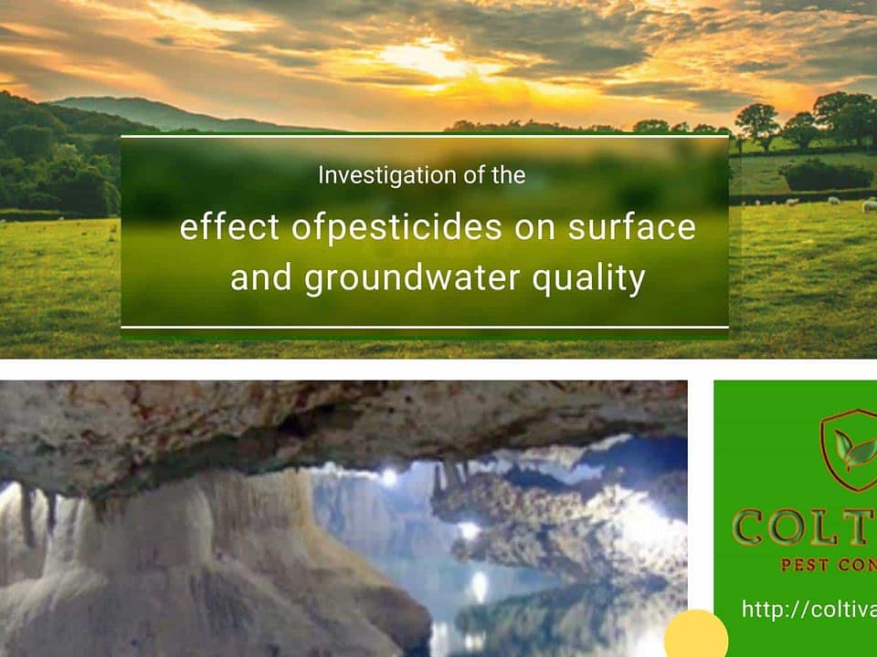 effect of pesticides on surface and groundwater quality