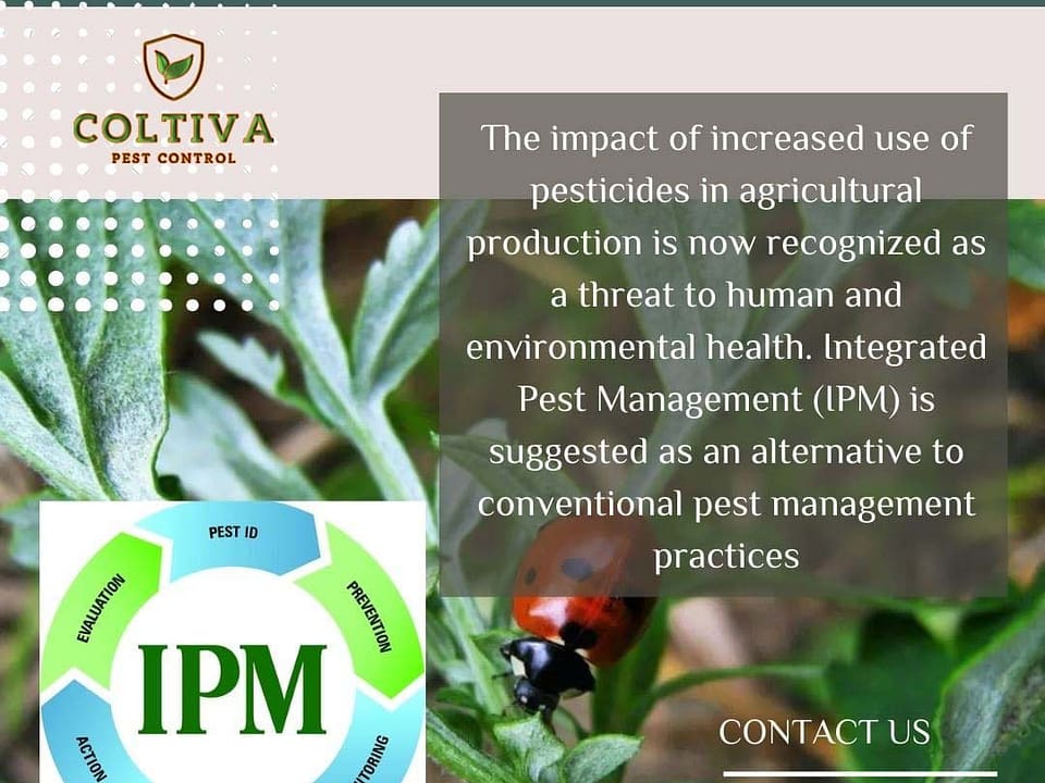 Challenges of integrated pest management