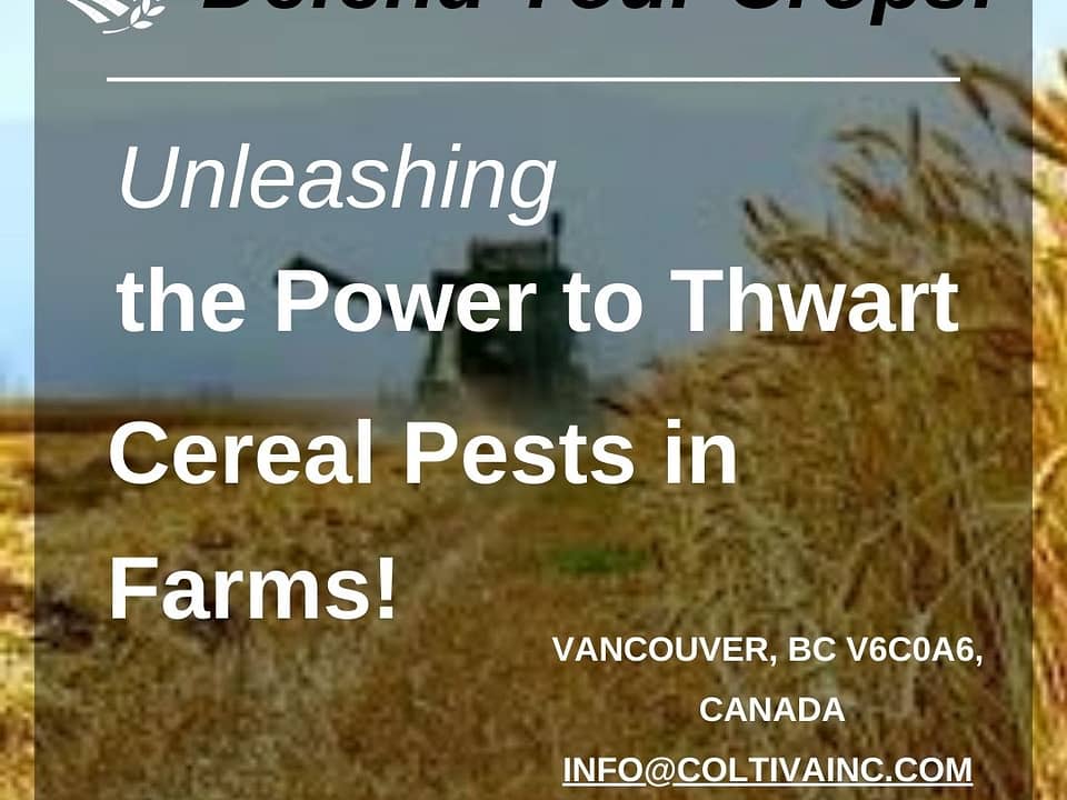 Unleashing the Power to Thwart Cereal Pests in Farms!