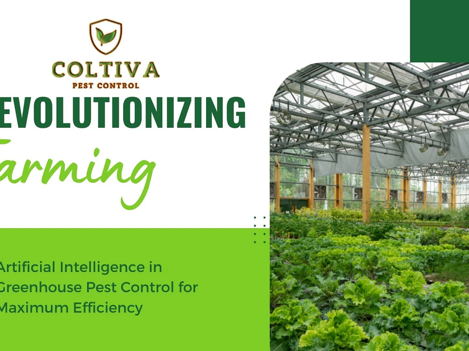 Artificial Intelligence in Greenhouse Pest Control