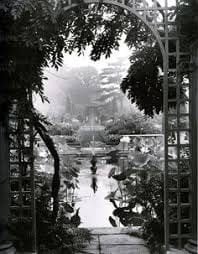 garden images