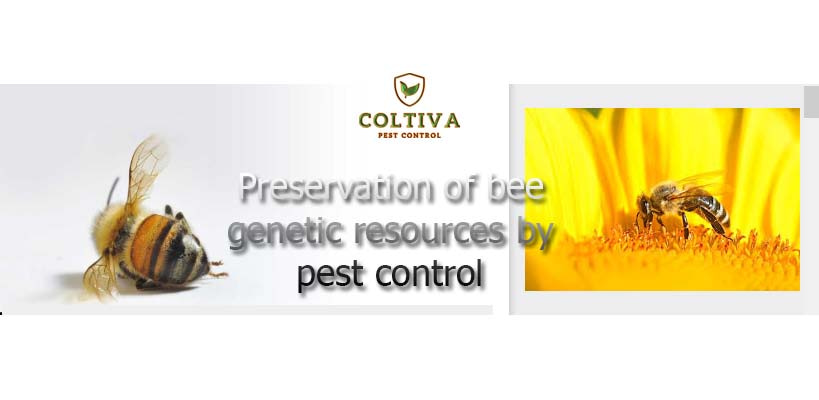 Preservation of bee genetic resources by pest control management